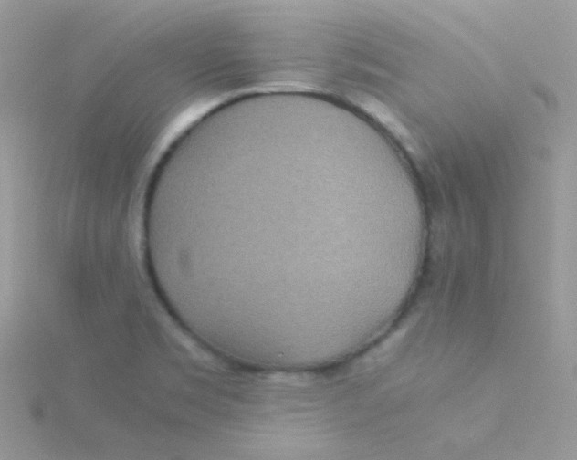 X0000115311469200911231319