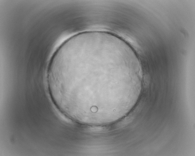 X0000115311470200911231319