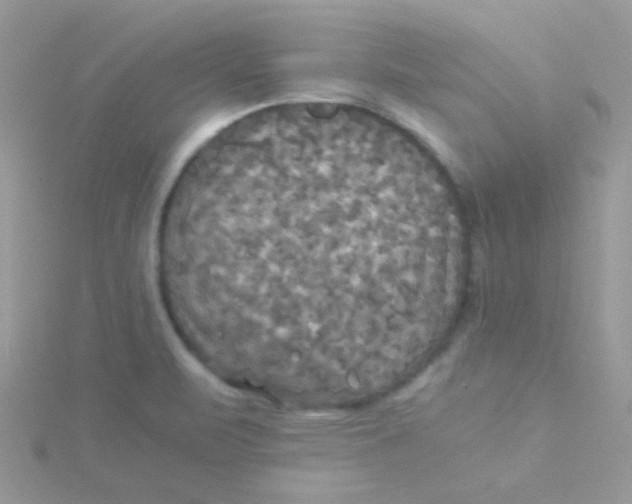 X0000115311471200911231319