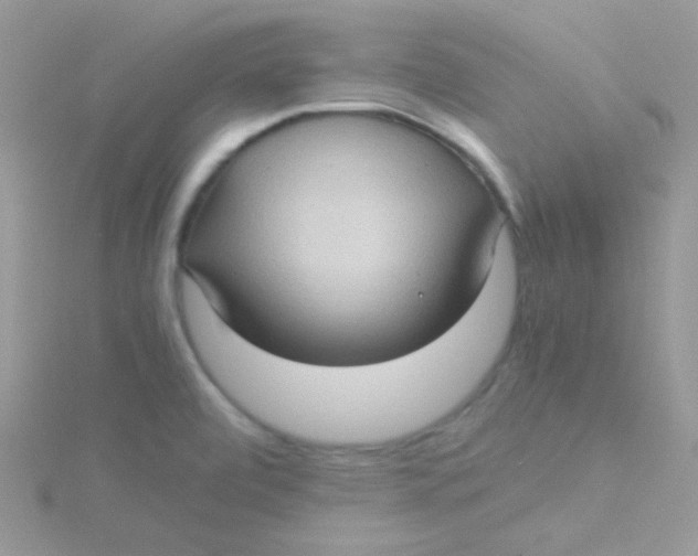 X0000115311472200911231319