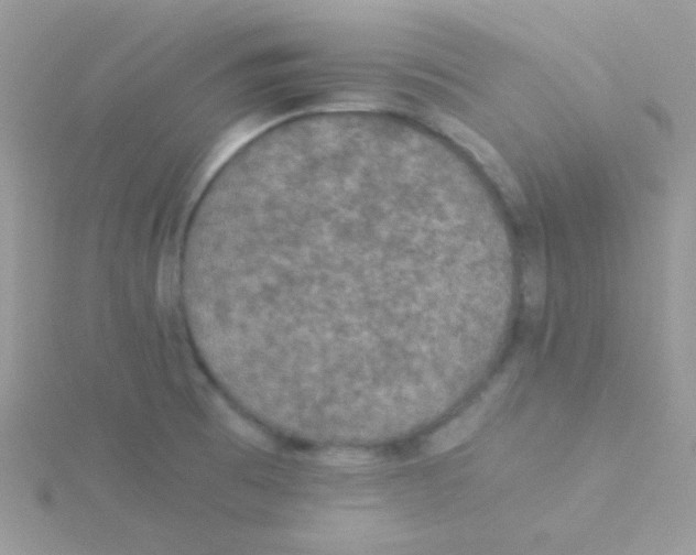 X0000115311473200911231319