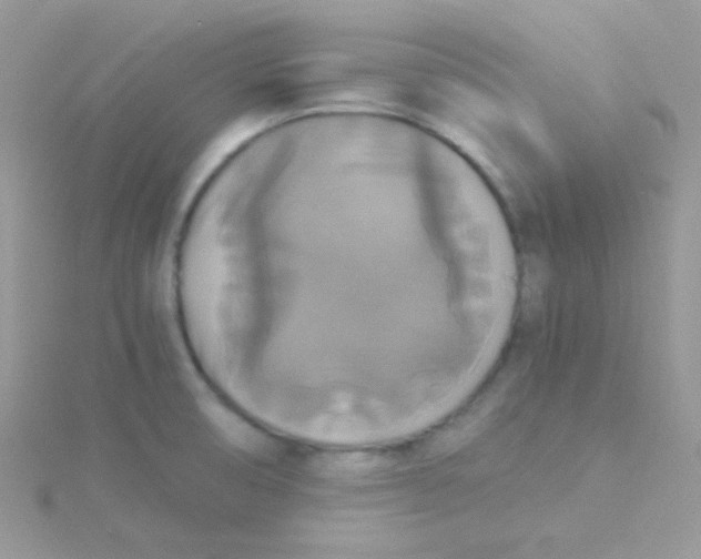 X0000115311474200911231319