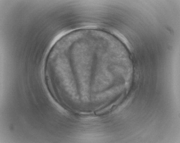 X0000115311475200911231319