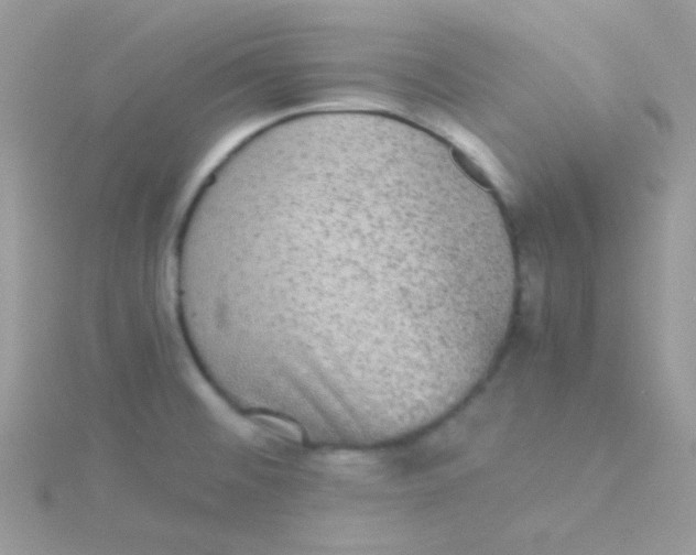 X0000115311476200911231319