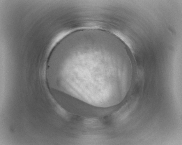 X0000115311477200911231319