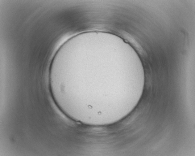 X0000115311479200911231319