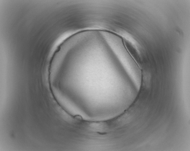 X0000115311480200911231319