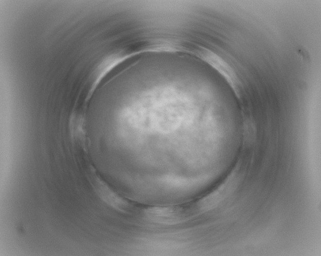 X0000115311481200911231319