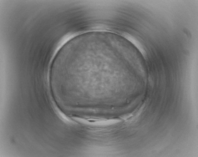 X0000115311482200911231319