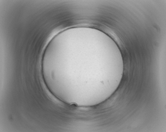 X0000115311483200911231319