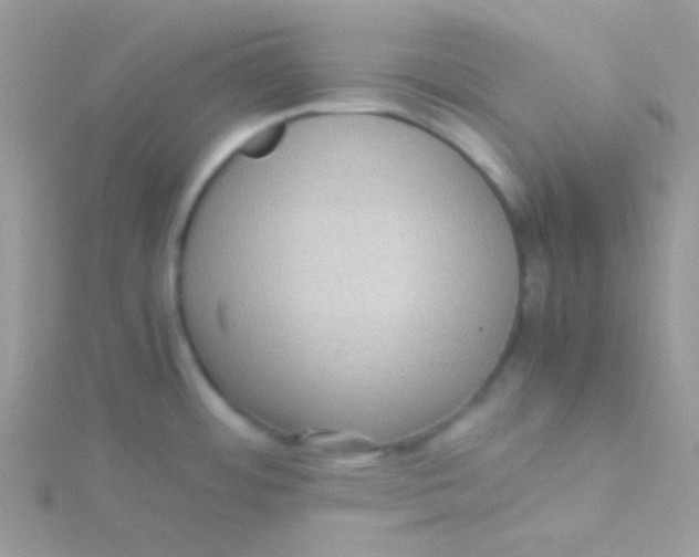 X0000115311484200911231319