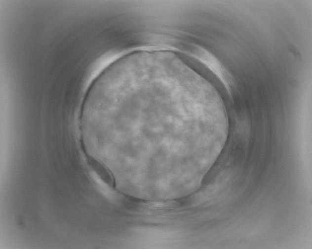 X0000115311485200911231319