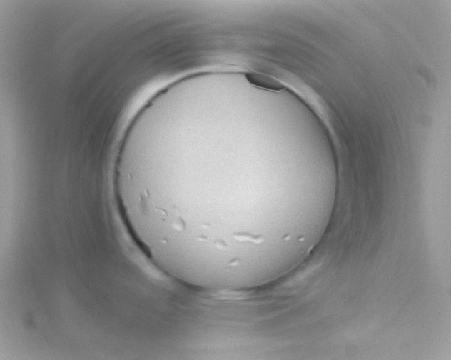 X0000115311488200911231319