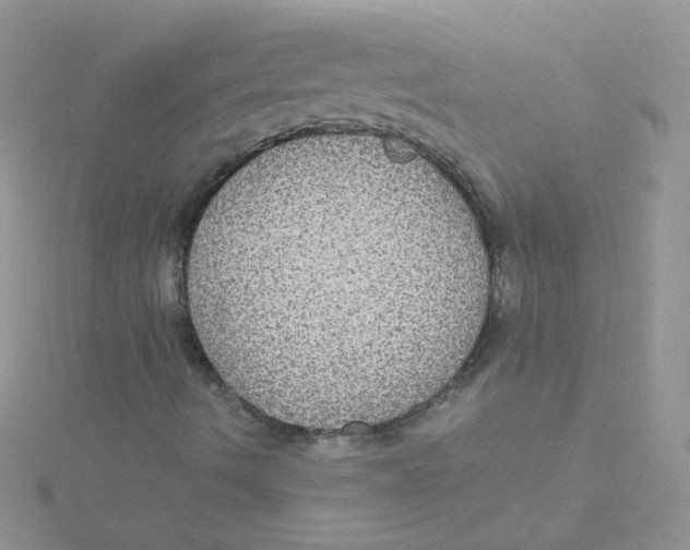 X0000115311490200911231318