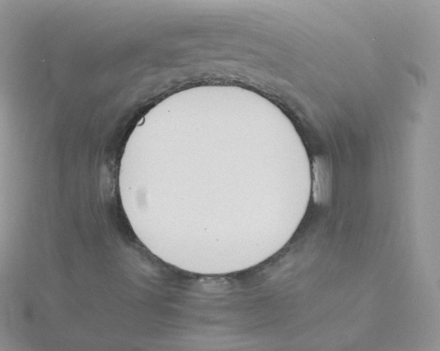 X0000115311491200911231318