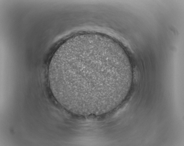 X0000115311494200911231319