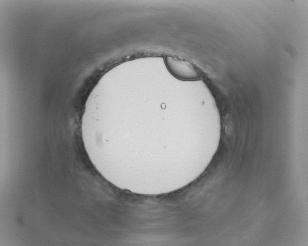 X0000115311495200911231319