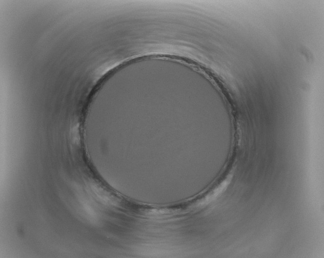 X0000115311497200911231319