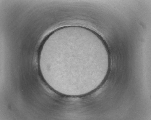 X0000115311498200911231319