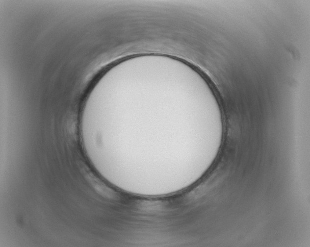 X0000115311499200911231319