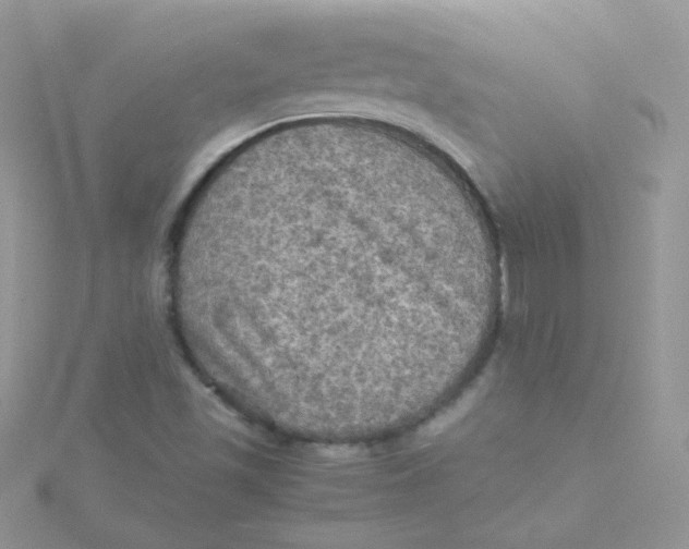 X0000115311501200911231319