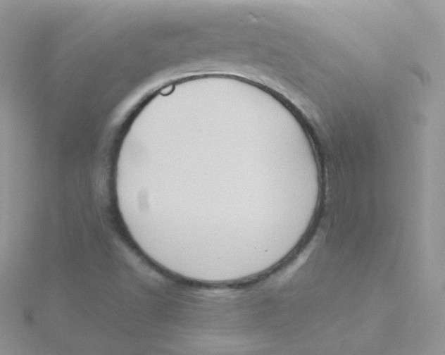 X0000115311502200911231319