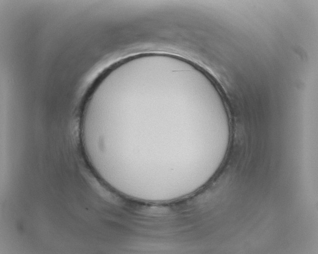 X0000115311503200911231319