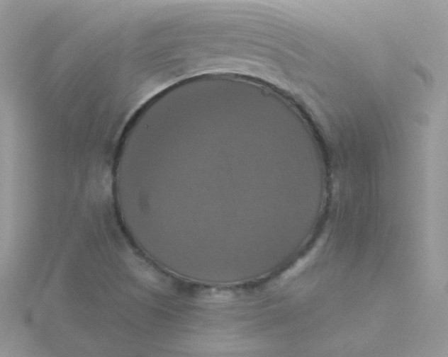 X0000115311505200911231319