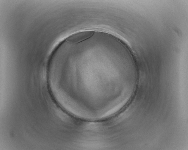 X0000115311506200911231319