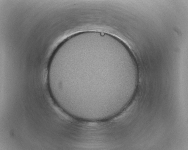 X0000115311507200911231319