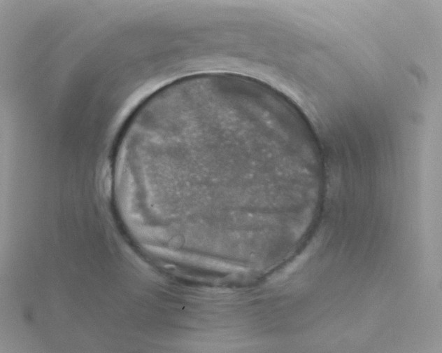 X0000115311509200911231319