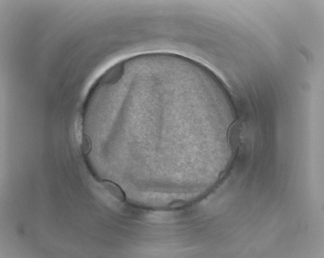 X0000115311510200911231319