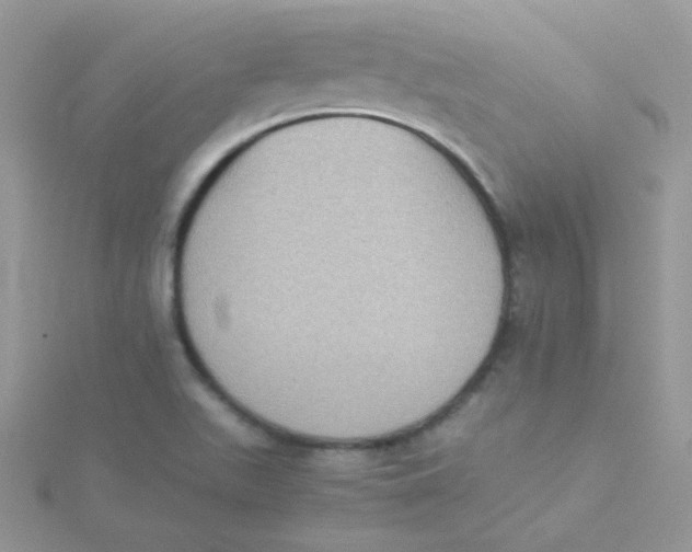 X0000115311511200911231319