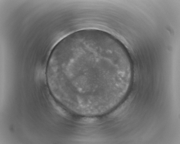 X0000115311513200911231319