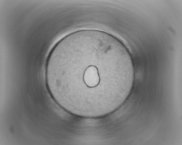 X0000115311514200911231319