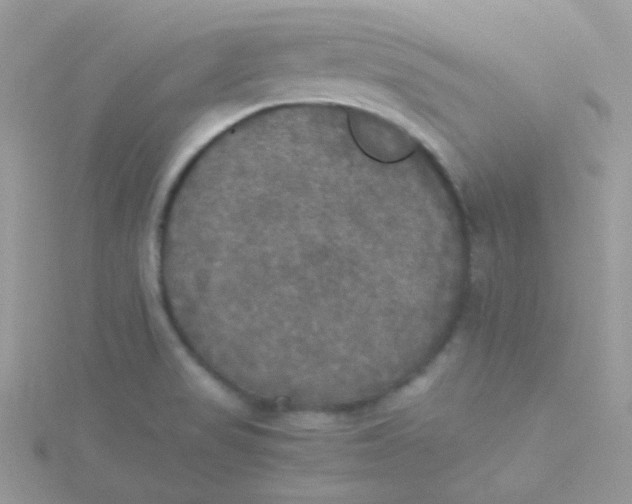 X0000115311517200911231319