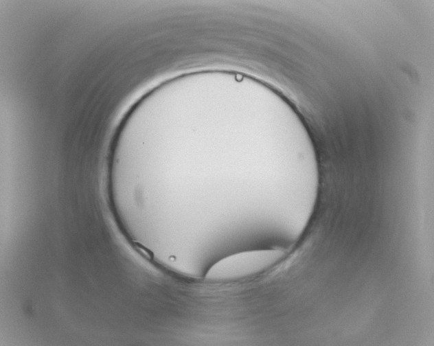 X0000115311518200911231319