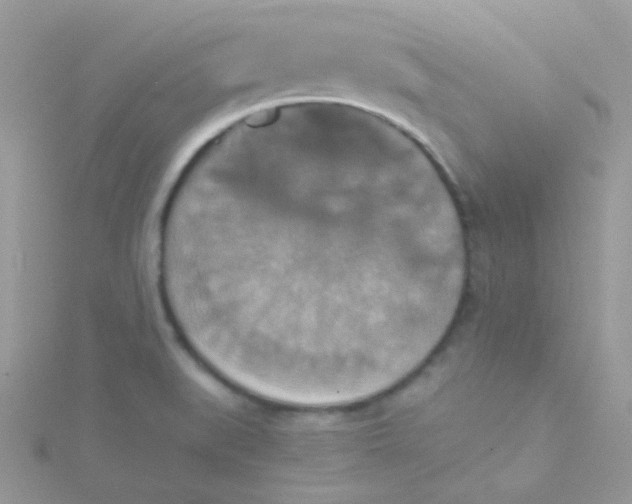 X0000115311519200911231319