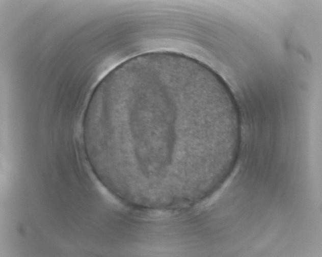 X0000115311521200911231319