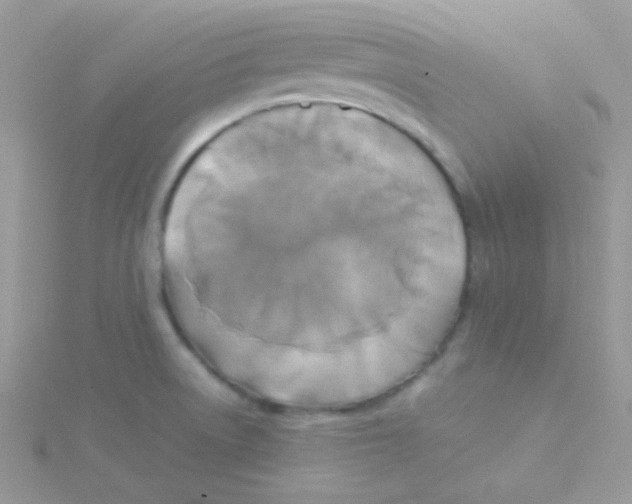 X0000115311522200911231319