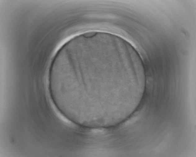 X0000115311523200911231319