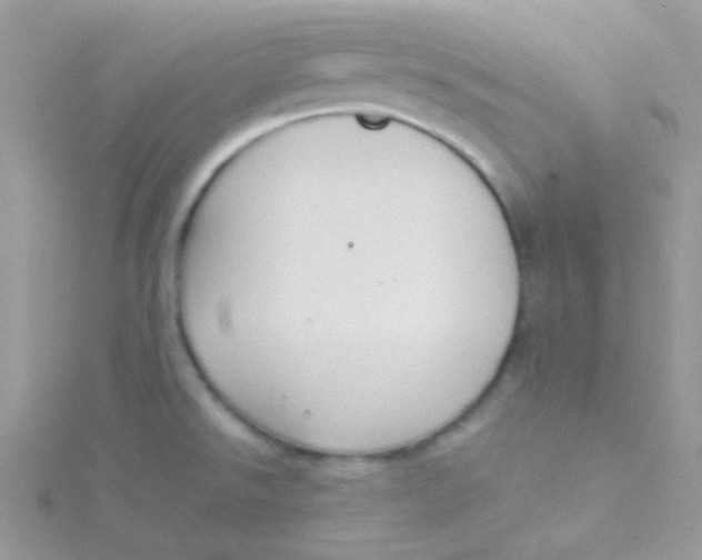 X0000115311526200911231319