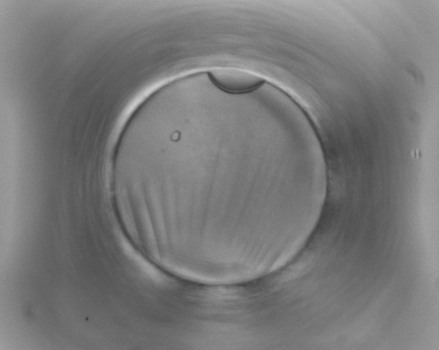 X0000115311527200911231319