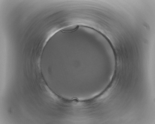 X0000115311529200911231319