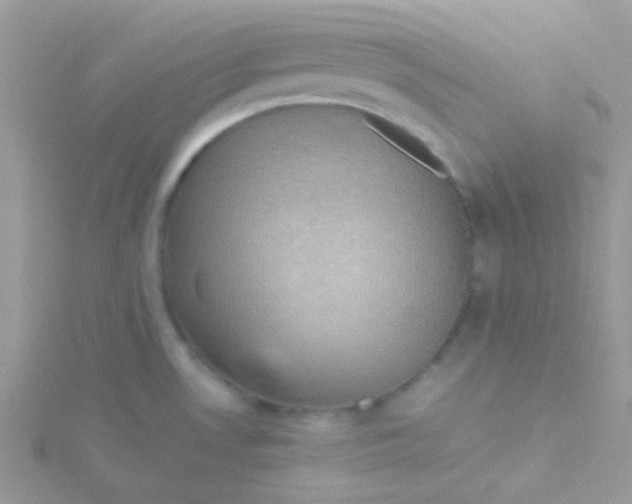 X0000115311530200911231319