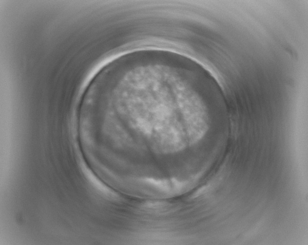 X0000115311531200911231319