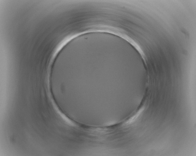 X0000115311533200911231319