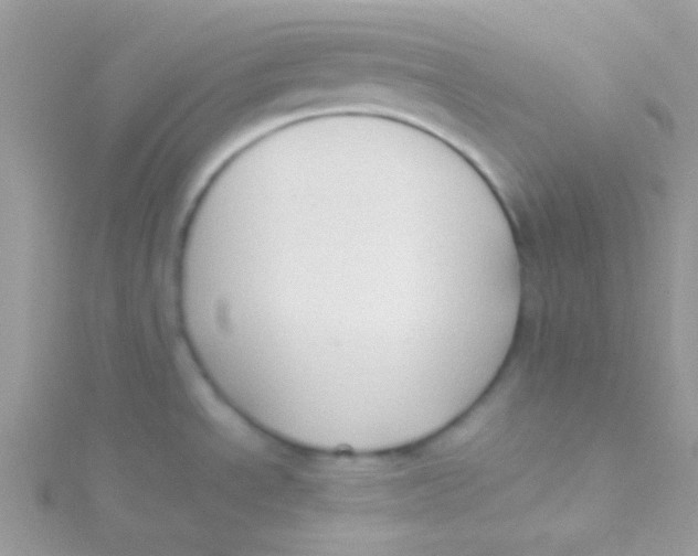 X0000115311534200911231319