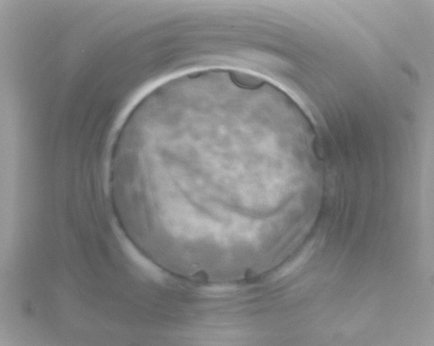 X0000115311535200911231319