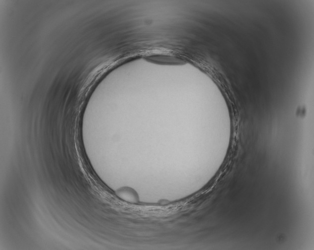 X0000115310001200911301546